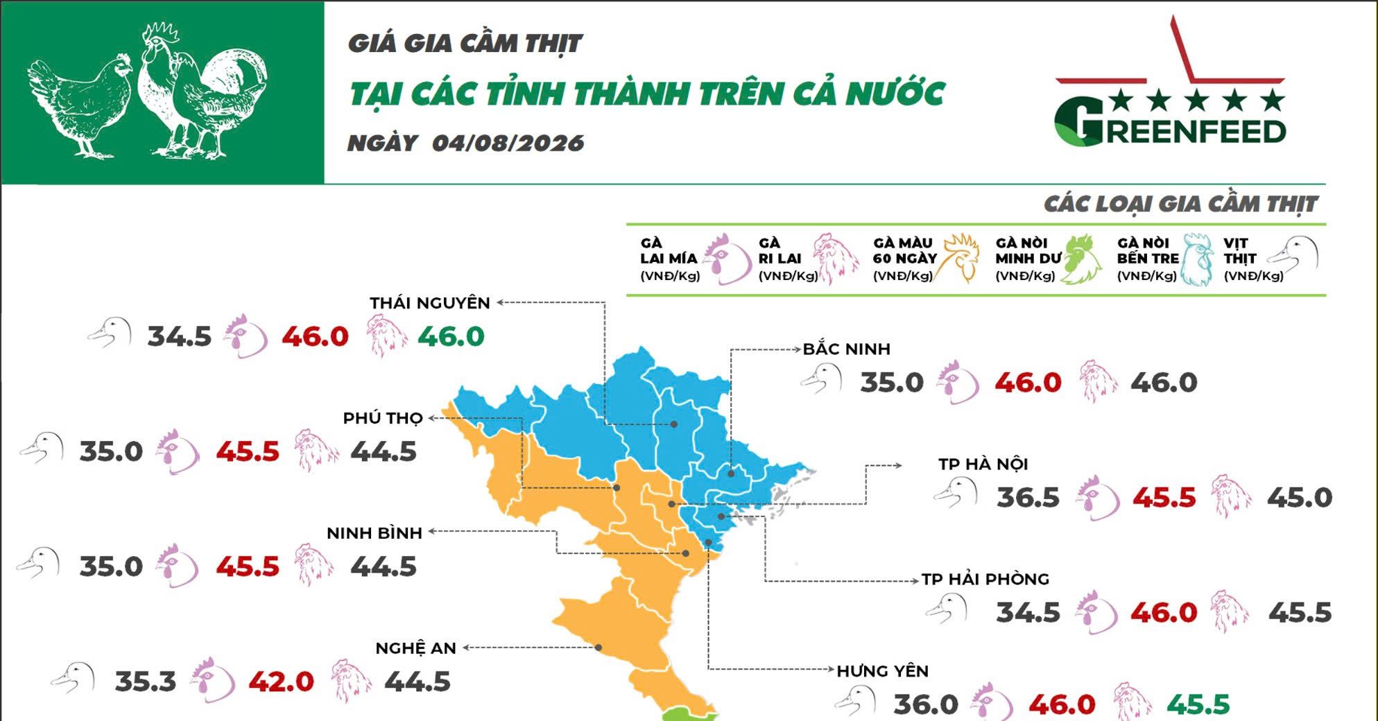 Ngày 04/08/2026 giá gà Ri tăng nhẹ