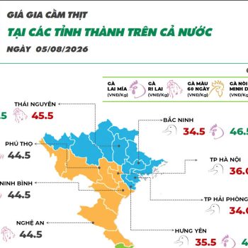 Ngày 05/08/2026 giá gà Mía ghi nhận tăng