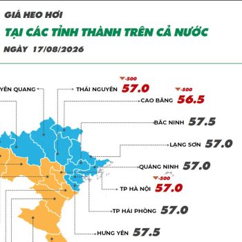 On August 17, 2026, pork prices recorded a downward trend