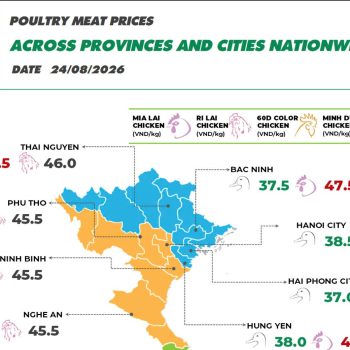 On August 24, 2026,Ri chicken prices remained stable