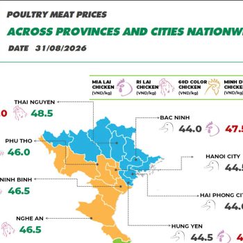 On August 31, 2026 Mia chicken prices decreased slightly