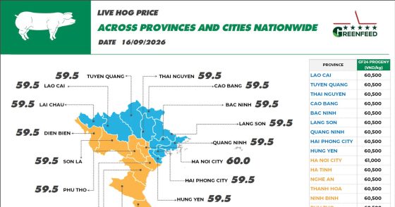 On September 16, 2026, pork prices increased slightly