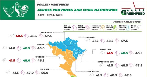 On September 22, 2026 Ri chicken prices remained stable, and Mia chicken prices increased slightly