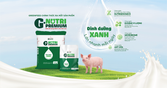 DINH DƯỠNG ĐẦU ĐỜI – CHÌA KHÓA NÂNG CAO HIỆU QUẢ CHĂN NUÔI HEO TRONG KỶ NGUYÊN NĂNG SUẤT CAO