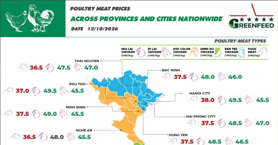 On October 12, 2026, the prices of Ri and Mia chickens increased sharply