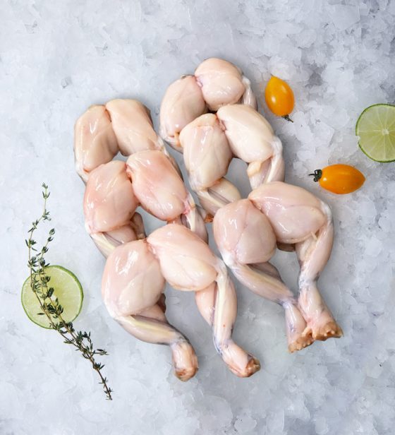 ĐÙI ẾCH ĐÔNG LẠNH