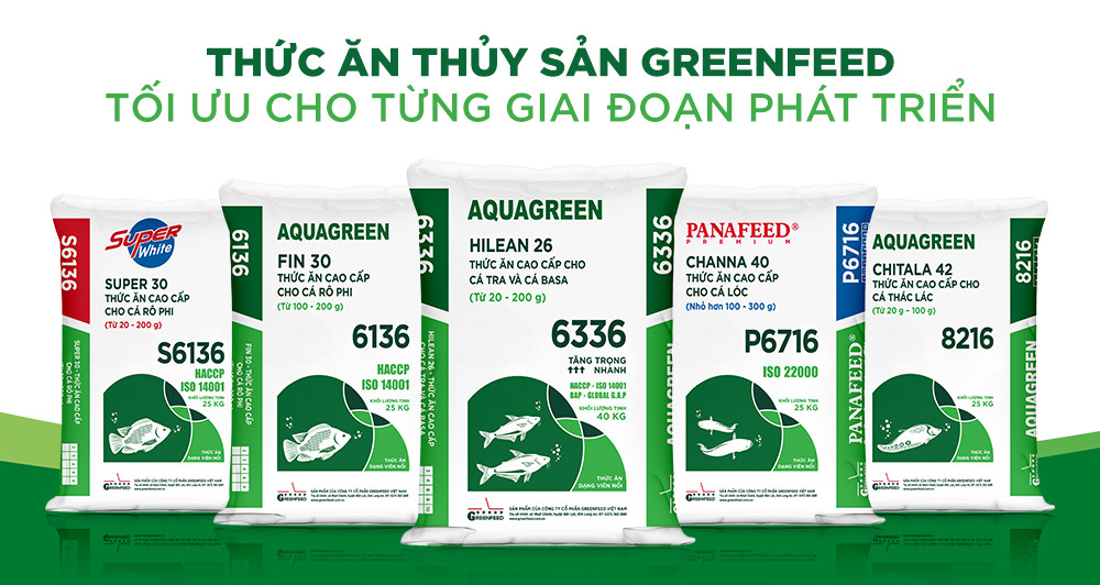 GREENFEED hiện đang sở hữu hệ thống 10 nhà máy sản xuất thức ăn chăn nuôi hiện đại với công nghệ hàng đầu khu vực.