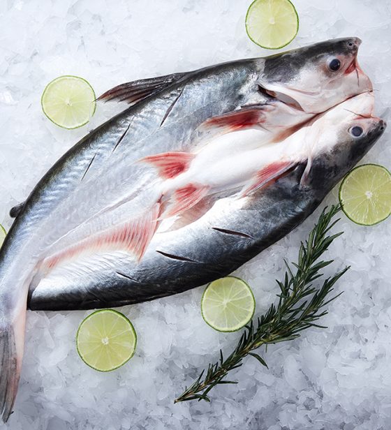 Cá tra xẻ bướm