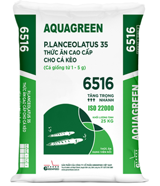 AQUAGREEN_6516