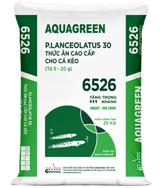 AQUAGREEN_6526