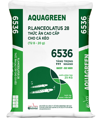 AQUAGREEN_6536