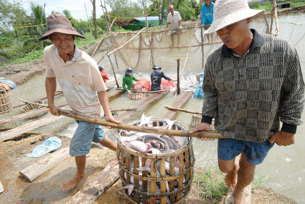 Thủy sản năm 2022, chuyển mình thích ứng – ảnh 8