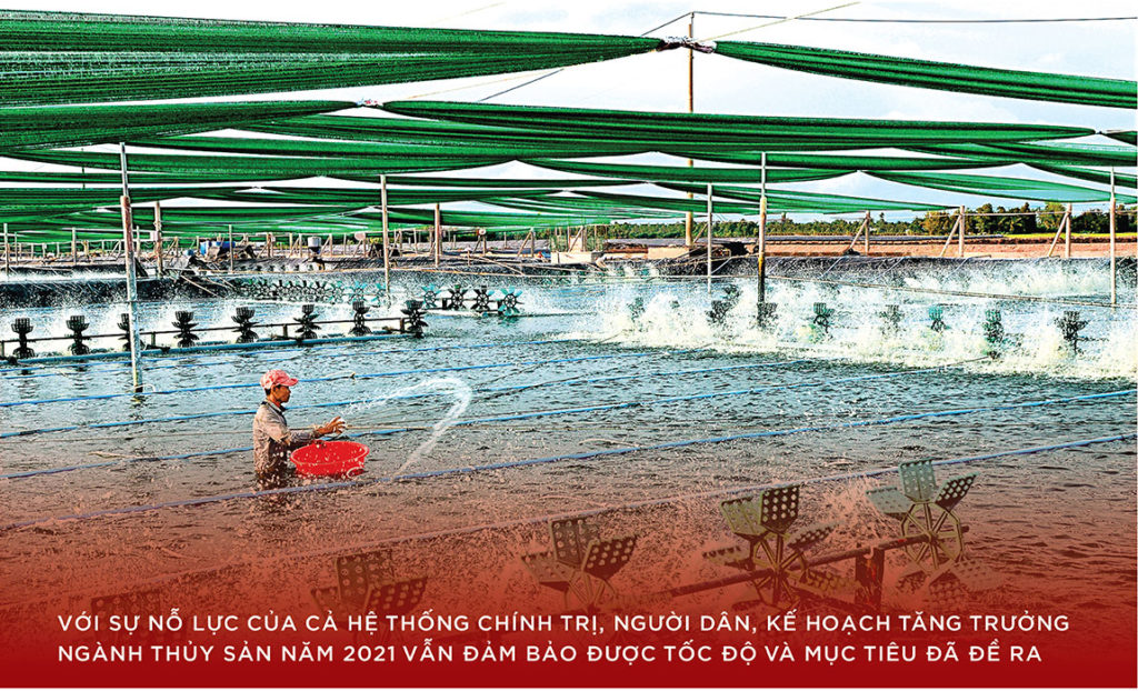 Thủy sản năm 2022, chuyển mình thích ứng – ảnh 3