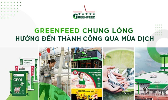 GREENFEED chung lòng, hướng tới thành công qua mùa dịch!