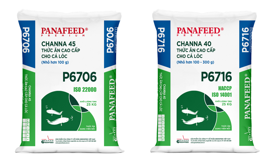 Hình 02. Thức ăn cao cấp dùng cho cá lóc của GREENFEED – nhãn hiệu PANAFEED