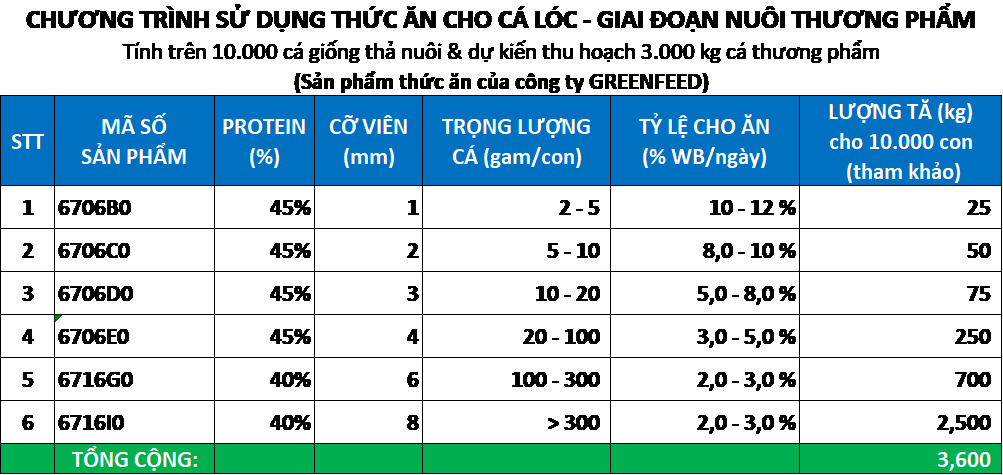 Quy trình kỹ thuật nuôi cá lóc thương phẩm