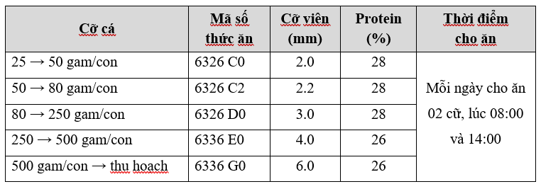 Ii.3 Cho Ăn