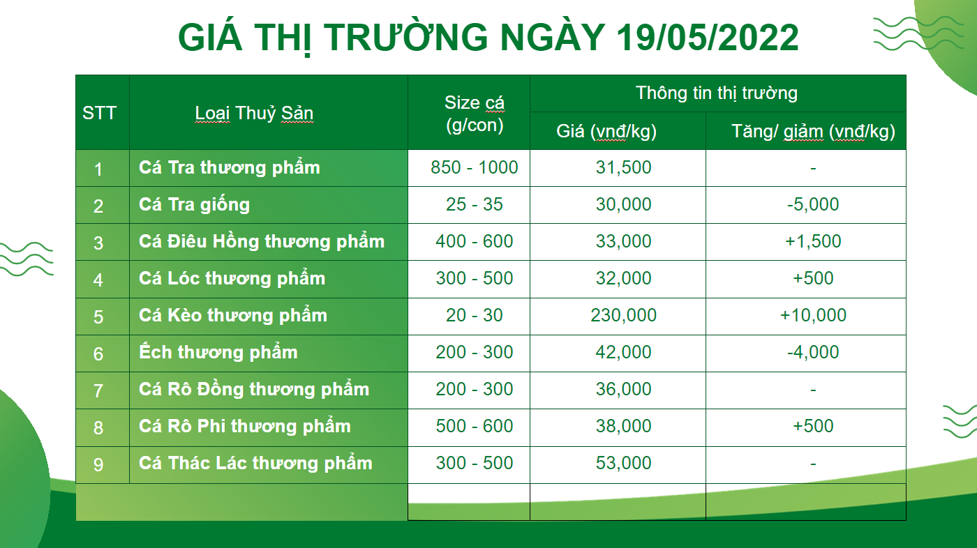 Bản tin giá cả thị trường thủy hải sản (19.05.2022)