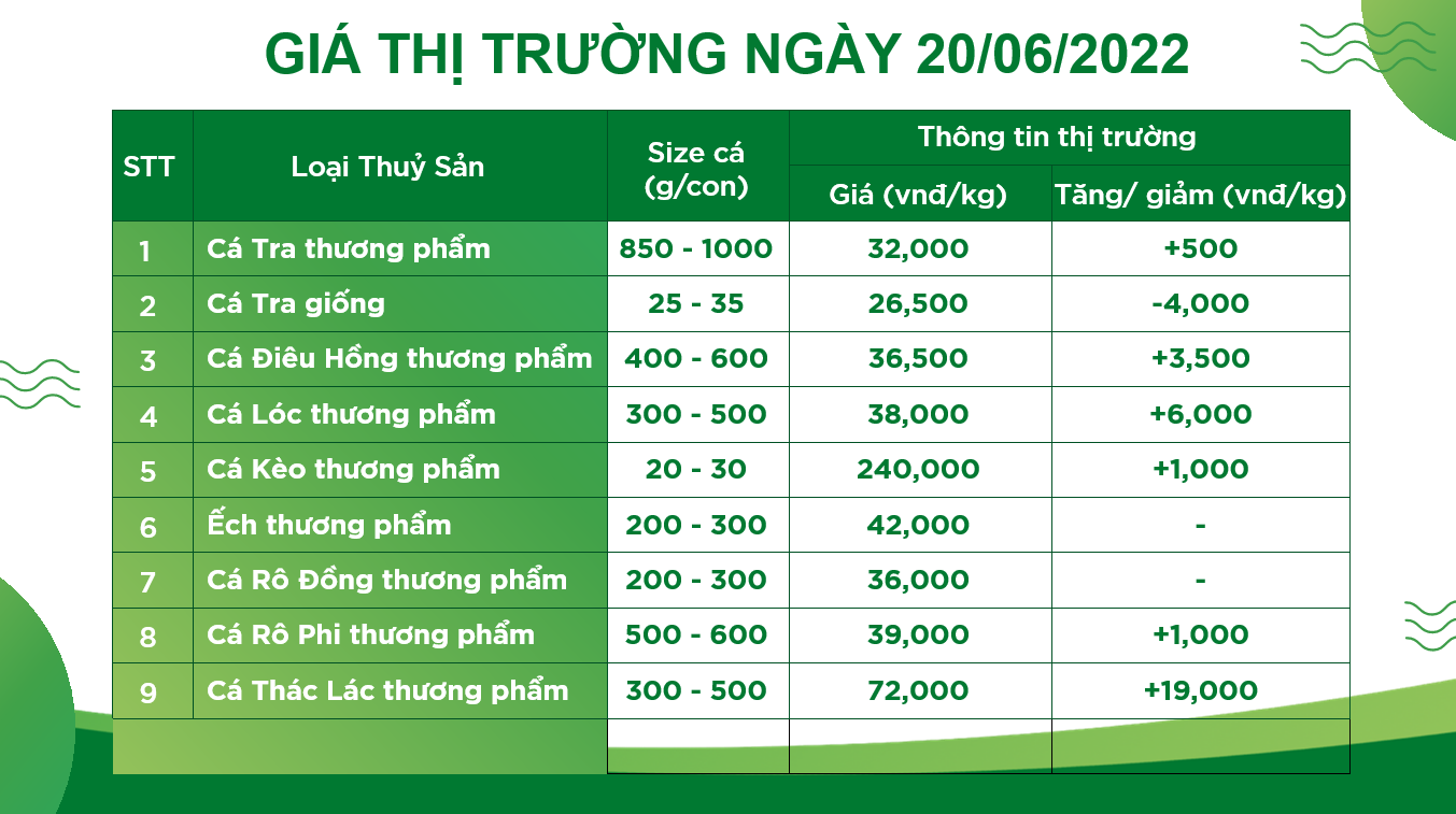 Bản tin giá cả thị trường thủy hải sản (20.06.2022)
