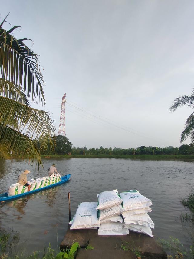 Kỹ thuật quản lý môi trường nuôi thủy sản vào mùa mưa