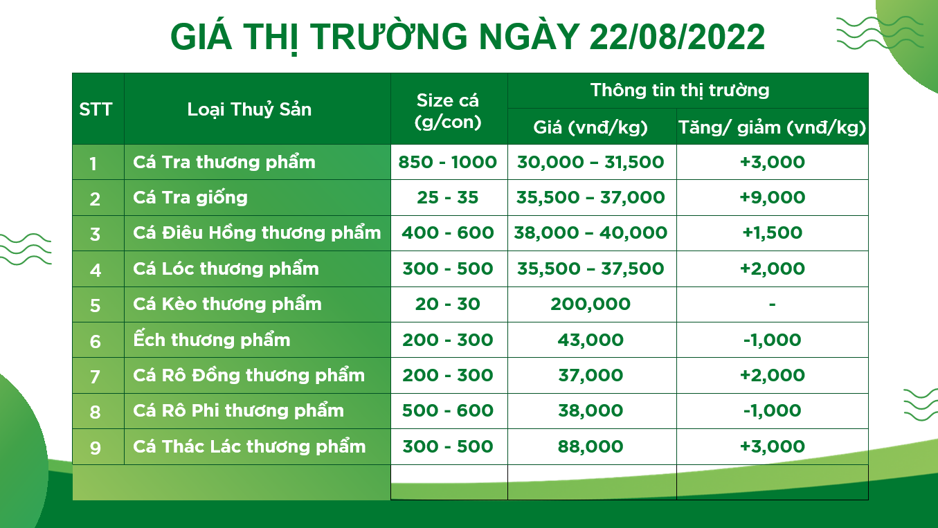 Bản tin giá cả thị trường thủy hải sản (22.08.2022)