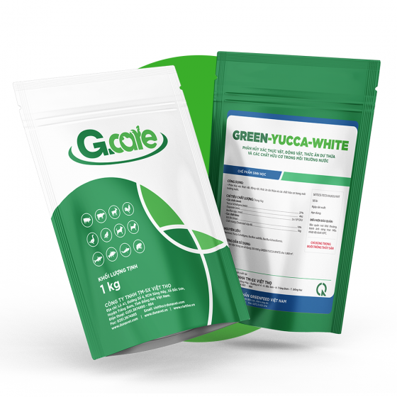 <b>GREEN</b>-YUCCA-WHITE