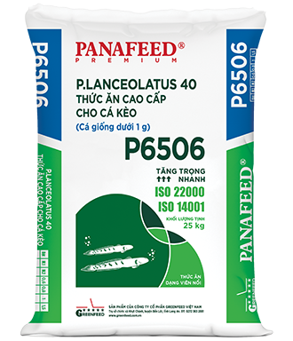 PANAFEED_P6506