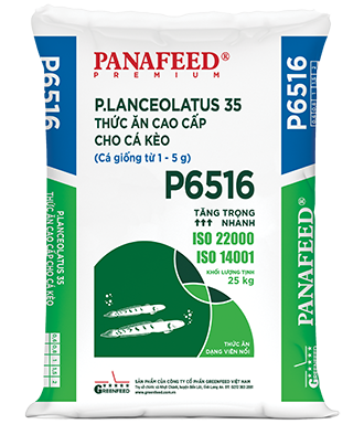PANAFEED_P6516