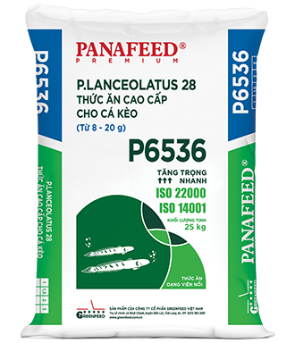 PANAFEED_P6536
