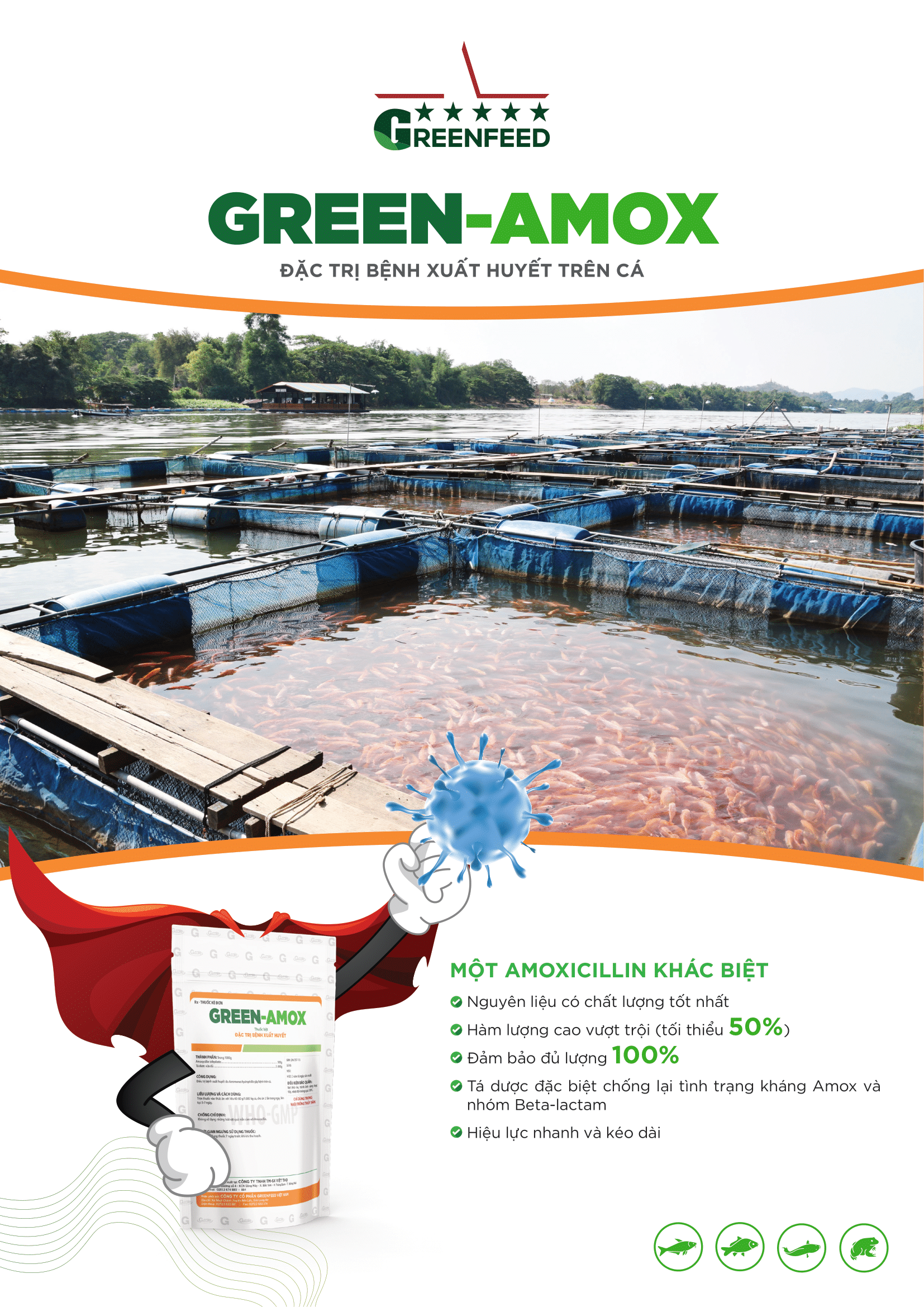 Tài liệu hướng dẫn sử dụng sản phẩm GREEN-AMOX công ty GREENFEED phát triển và sản xuất