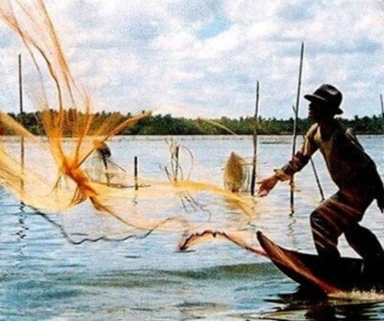 Cải thiện tỷ lệ sống cho cá nuôi vào mùa nước đổ