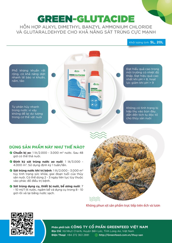 PHÒNG BỆNH LÀ CHÍNH – TRỊ BỆNH KHI CẦN