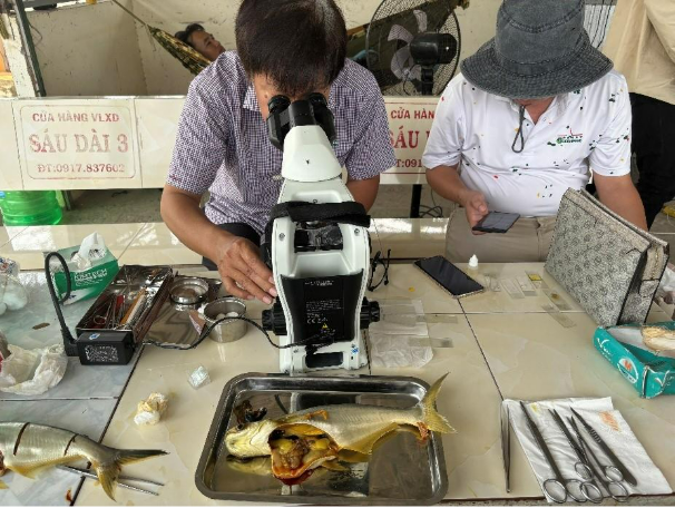 Hình 3. Tìm nguyên nhân đưa ra phác đồ điều trị bệnh vàng da