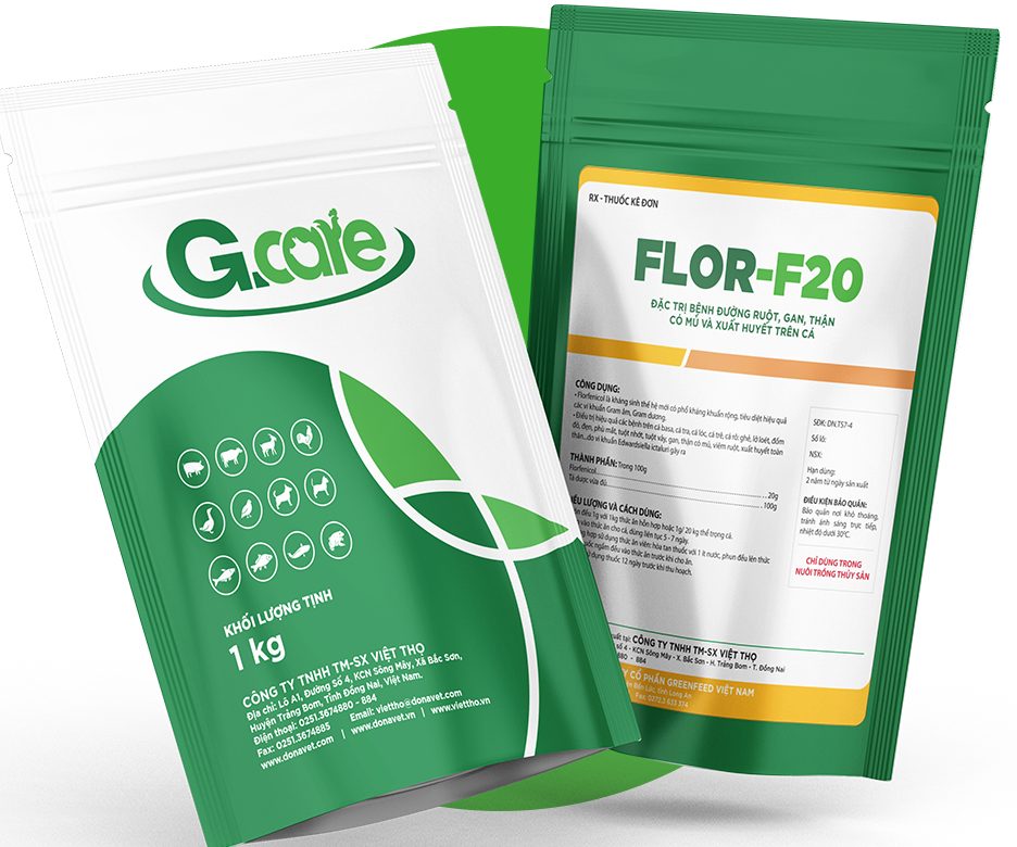 FLOR-F20 trộn thức ăn trị bệnh do vi khuẩn trên cá tra