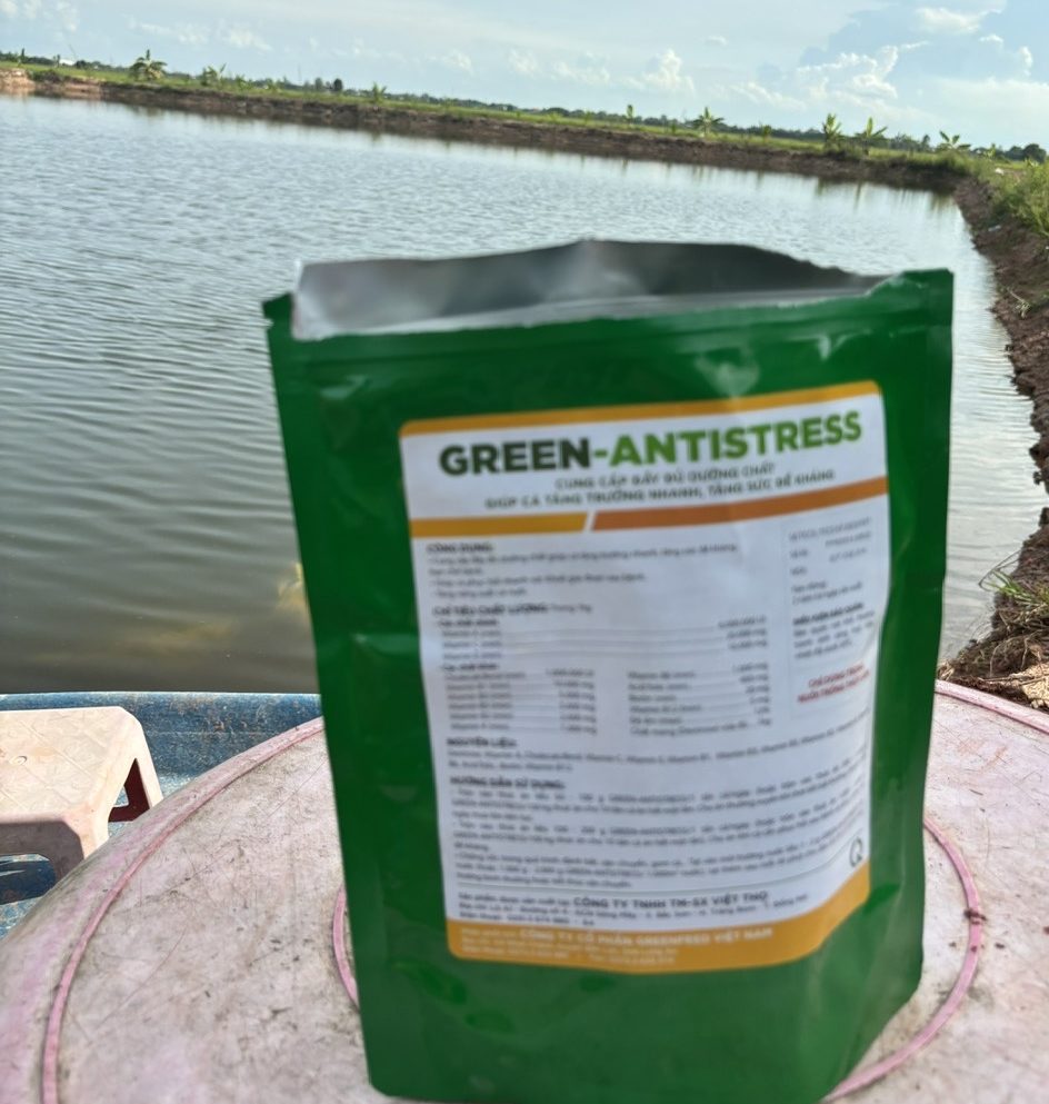 GREEN-ANTISTRESS bổ sung dinh dưỡng, tăng sức đề kháng cho cá tra ương