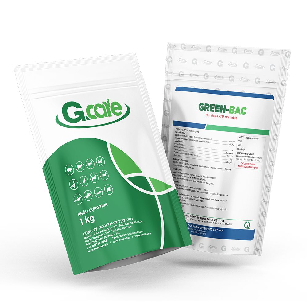 GREEN-BAC men vi sinh xử lý nền đáy ao ương cá tra