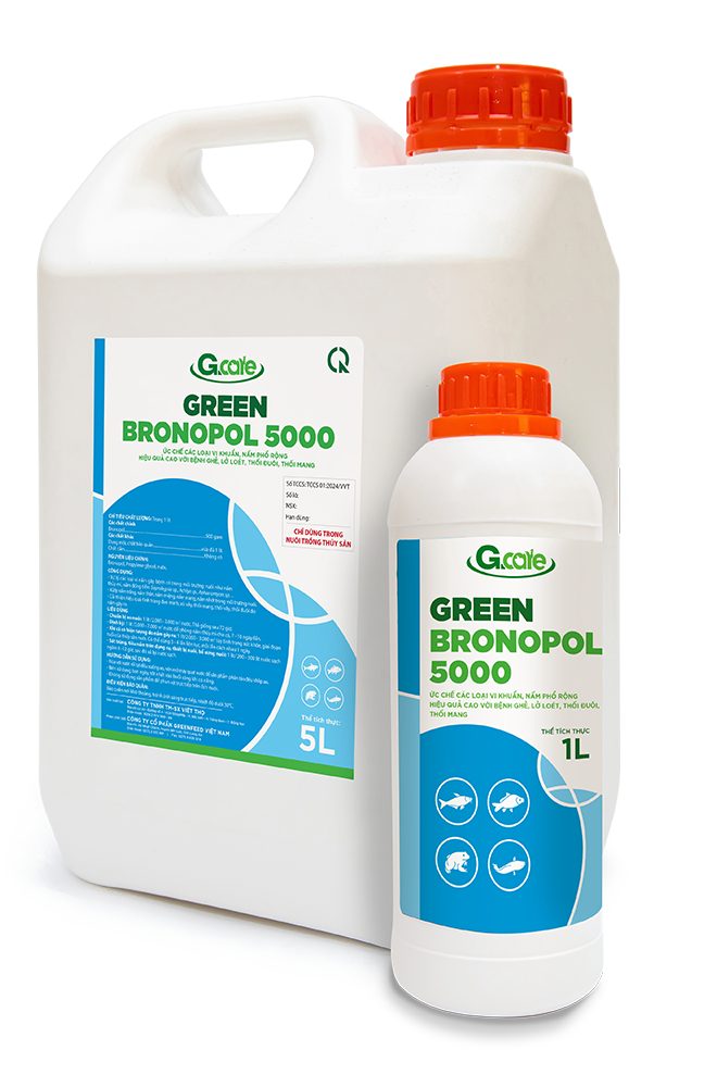 GREEN-BRONOPOL 5000 phòng trị bệnh nấm thủy mi trên cá tra
