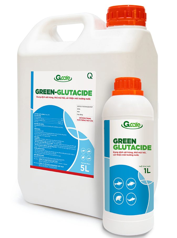 GREEN-GLUTACIDE sát trùng ao ương cá tra giống