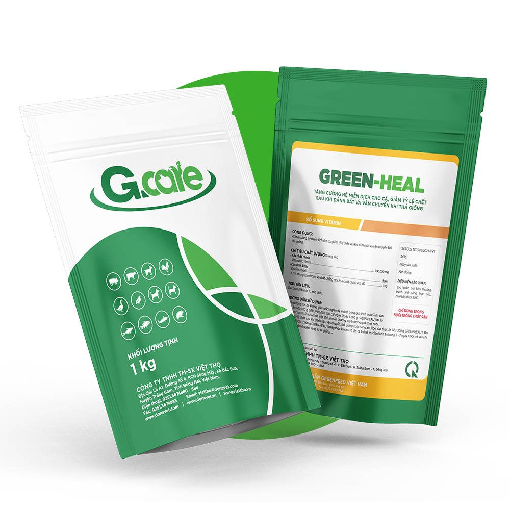 GREEN-HEAL tăng cường sức đề kháng cho cá tra giống