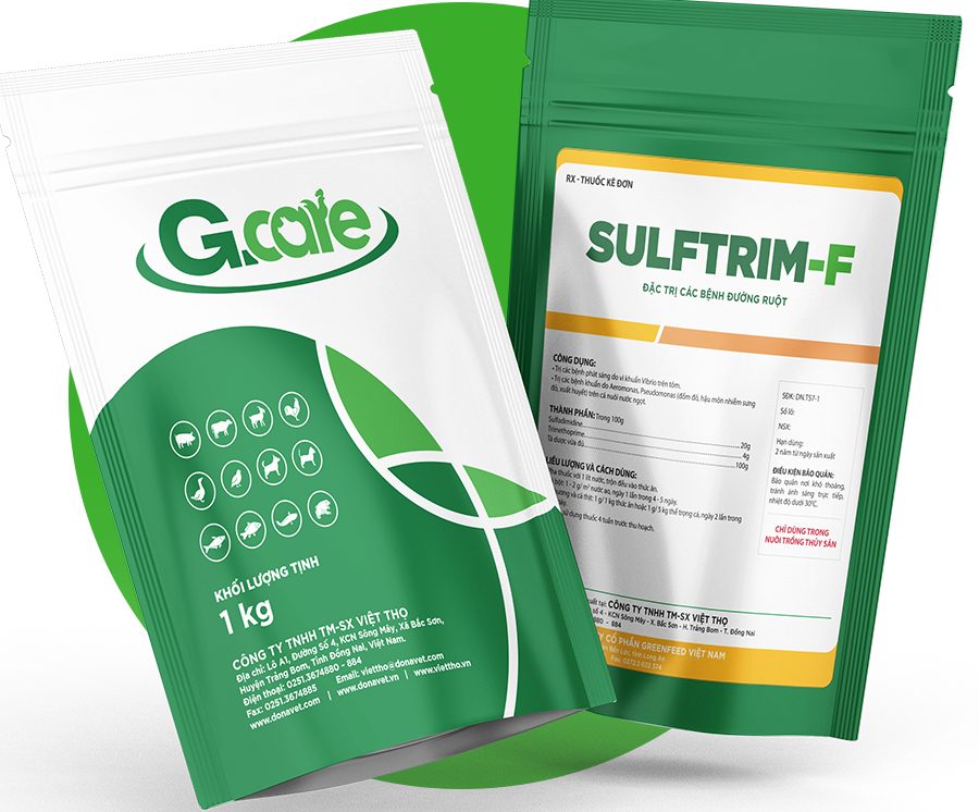 SULFTRIM-F trộn thức ăn trị bệnh xuất huyết trên cá tra