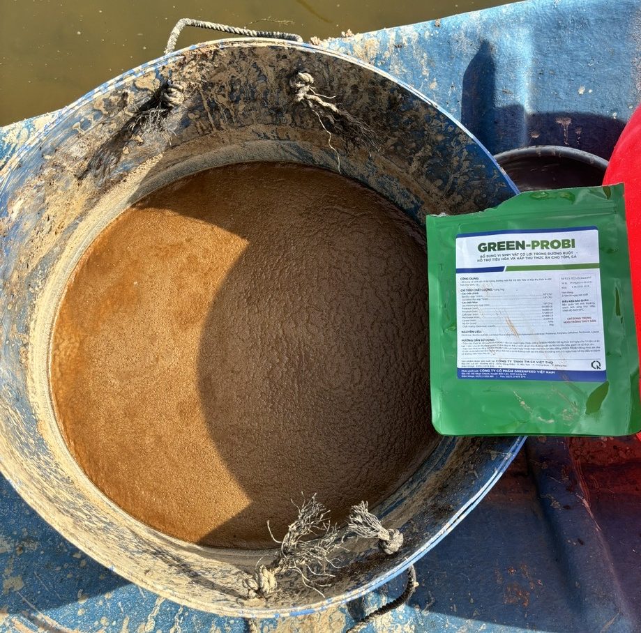 Ủ thức ăn bột GREENFEED với men GREEN-PROBI cho cá tra bột