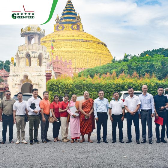 GREENFEED ĐỒNG HÀNH LAN TỎA ĐIỀU LÀNH ĐẾN NGƯỜI DÂN MYANMAR SAU ĐỘNG ĐẤT