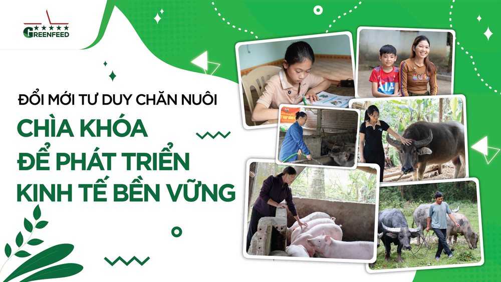 Đổi mới tư duy chăn nuôi – CHÌA KHOÁ để phát triển kinh tế bền vững | GREENFEED Giving