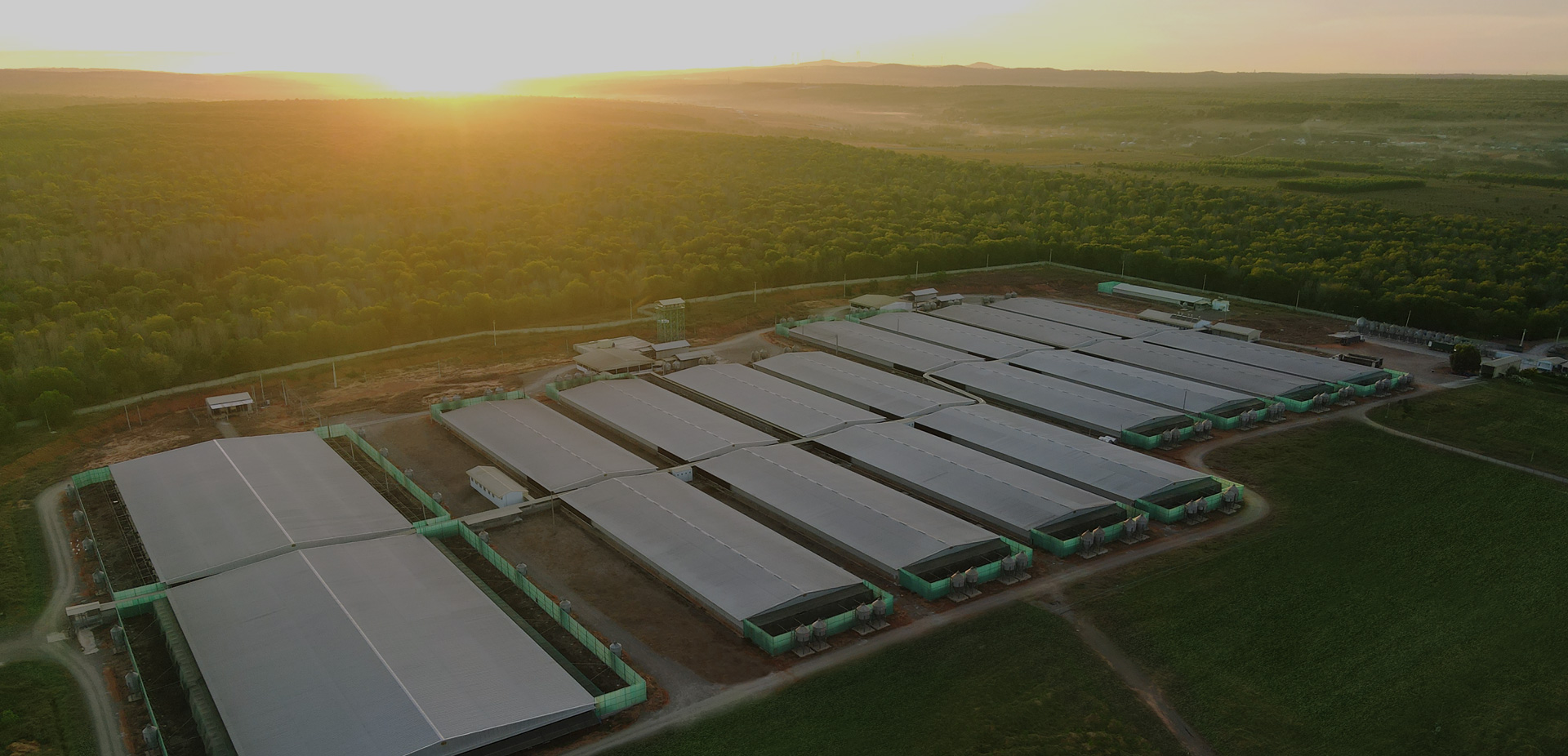 Trang trại gia súc, gia cầm của GREENFEED tại Bình Thuận