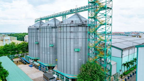 Thức ăn thủy sản GREENFEED được chứa trong silo tại các nhà máy.