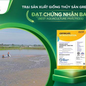 GREENFEED ĐẠT CHỨNG NHẬN BAP CHO TRẠI SẢN XUẤT GIỐNG THỦY SẢN, THÚC ĐẨY MÔ HÌNH CHUỖI GIÁ TRỊ BỀN VỮNG