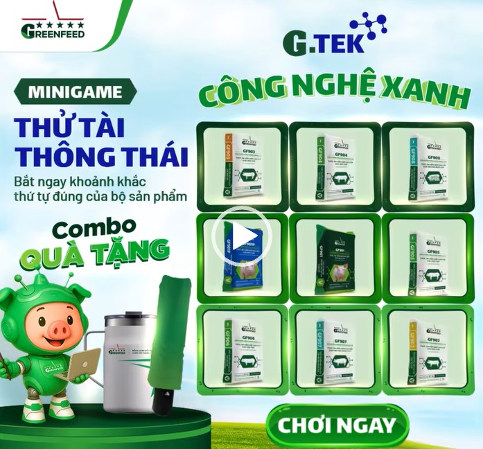 [MINIGAME] THỬ TÀI THÔNG THÁI: BẮT NGAY KHOẢNH KHẮC THỨ TỰ ĐÚNG CỦA BỘ SẢN PHẨM G.TEK CÔNG NGHỆ XANH
