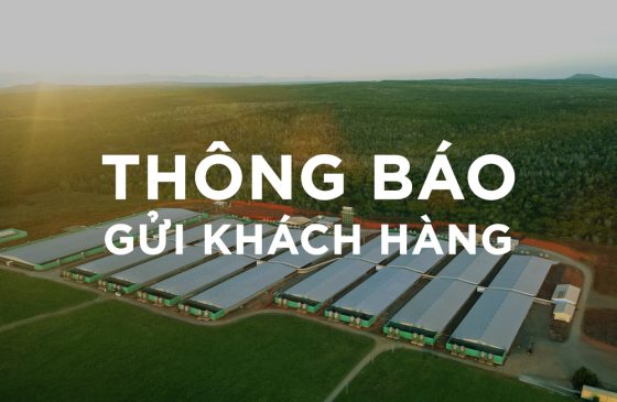 THƯ THÔNG BÁO GỬI KHÁCH HÀNG