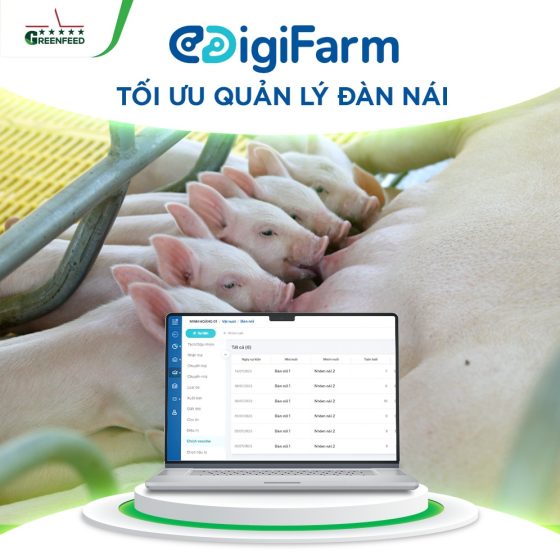 DIGIFARM TỐI ƯU QUẢN LÝ ĐÀN NÁI