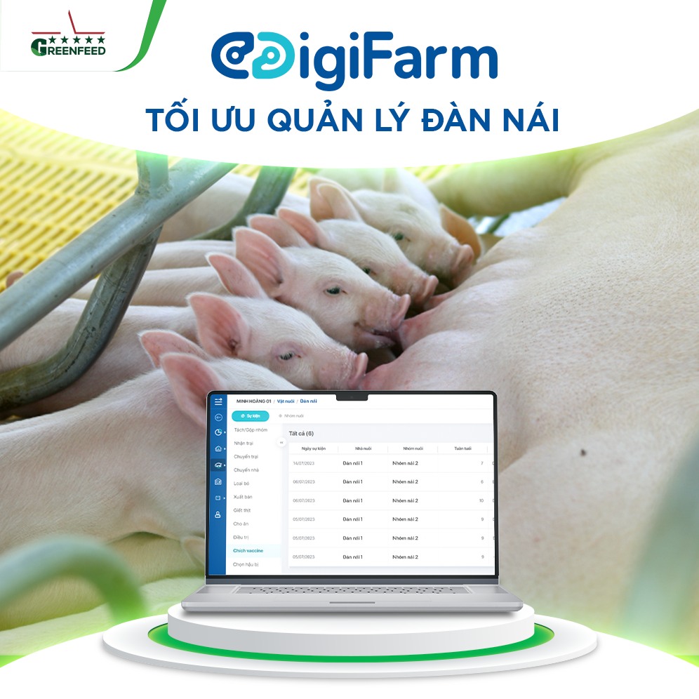 DIGIFARM TỐI ƯU QUẢN LÝ ĐÀN NÁI